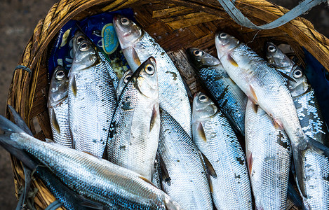 新鲜小白鱼水产品台高清图片