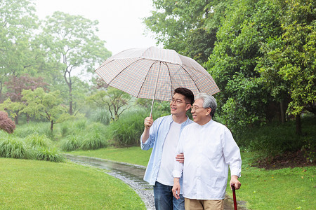 中老年父子撑伞下雨天逛公园图片