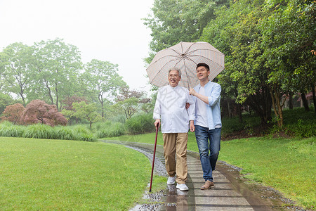 中老年父子撑伞下雨天逛公园图片