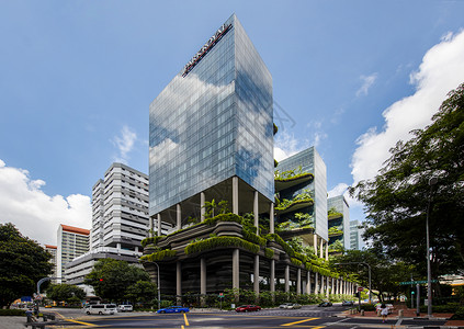 新加坡花园酒店高清图片