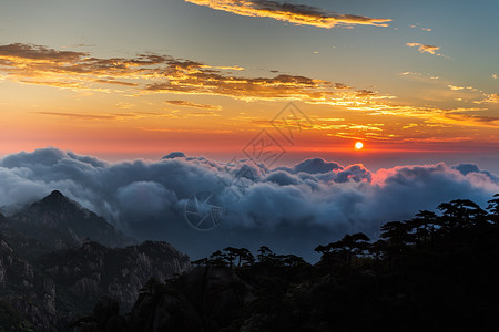 黄山奇石怪松安徽黄山背景