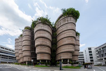 新加坡绿色建筑南洋理工大学背景