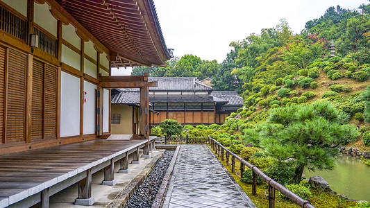 日本院子雨中的日式庭院背景