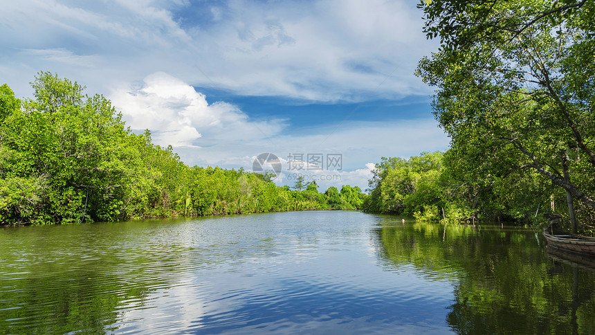 热带雨林河流自然景观图片