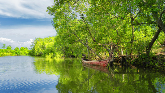 热带雨林河流自然景观高清图片