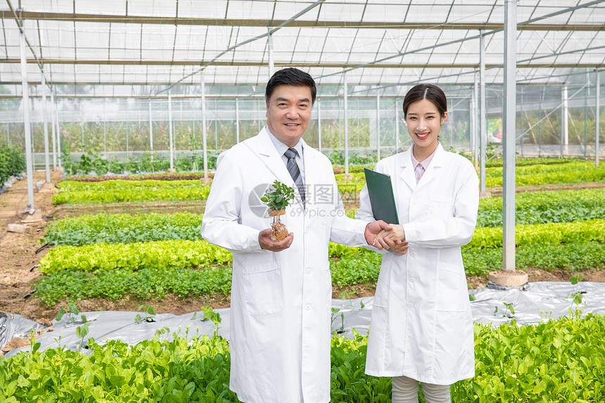 大棚内手捧植物幼苗的农业培育科学家图片