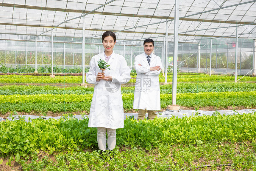 大棚内手捧植物幼苗的农业培育科学家图片