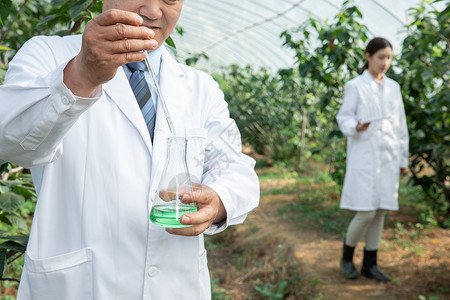 大果树在大棚内做科学研究的农业培育科学家背景