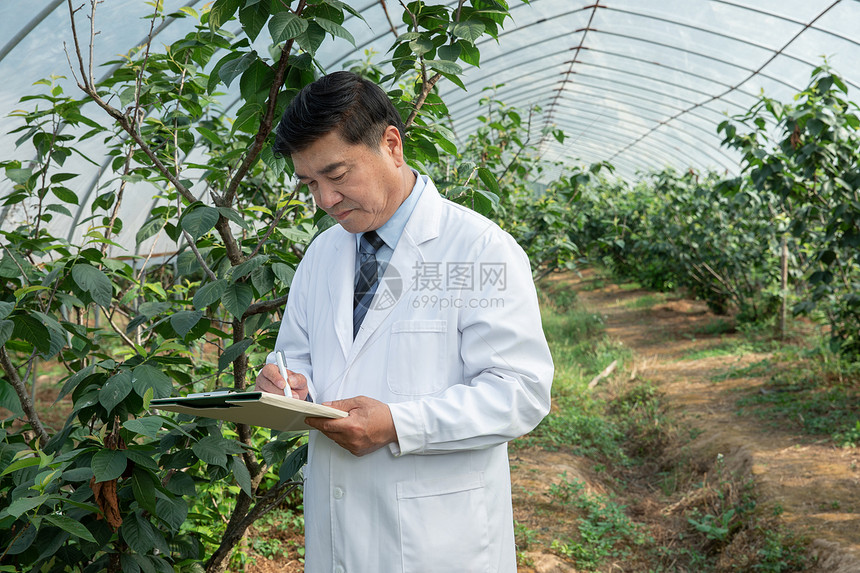 大棚内观察做记录的农业培育科学家图片