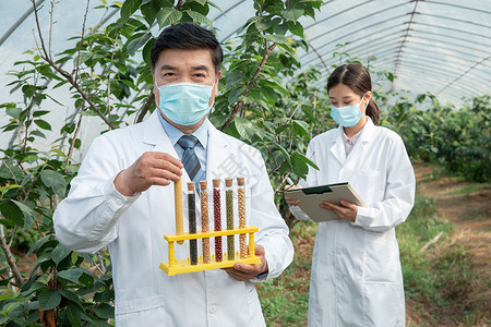 手捧种子试管的农业培育科学家高清图片