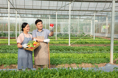 蔬菜大棚内手捧水果的农民夫妇图片