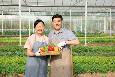 蔬菜大棚内手捧水果的农民夫妇背景图片