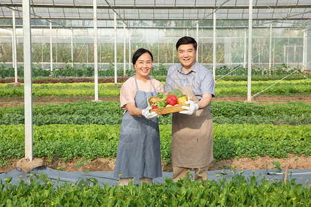 蔬菜大棚内手捧水果的农民夫妇图片