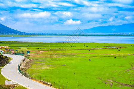 香格里拉纳帕海风景区背景图片