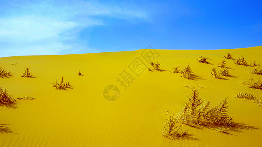 内蒙古响沙湾沙漠景观图片