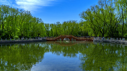 呼和浩特南湖湿地景观背景图片