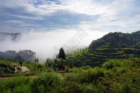 春茗晚会永嘉茗岙梯田背景