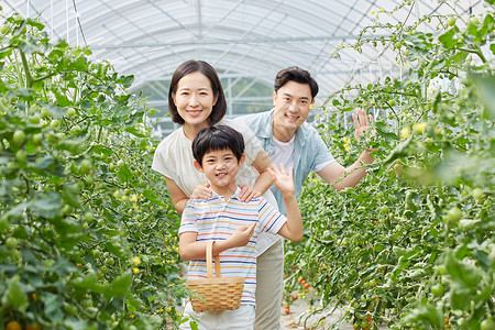 打招呼的男孩一家人菜园采摘蔬菜打招呼背景