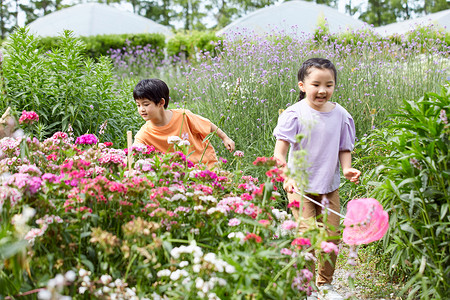 儿童在花丛中捕捉蝴蝶背景图片