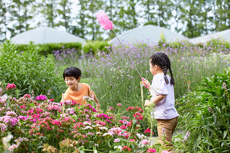 捉蝴蝶男孩儿童在花丛中捕捉蝴蝶背景