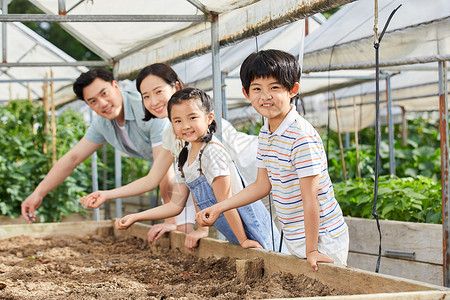 一家四口在菜园播种图片