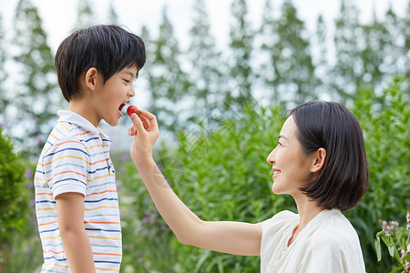 试吃台小孩男孩和妈妈试吃圣女果背景