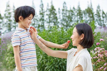 小孩男孩和妈妈试吃圣女果图片