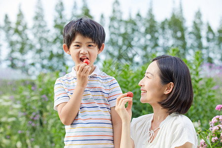 试吃台小孩男孩和妈妈试吃圣女果背景