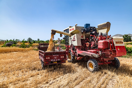 拖拉机收割联合收割机收麦子背景