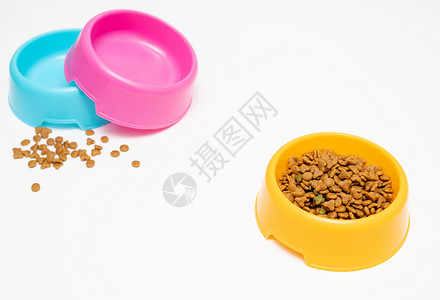 猫食碗宠物用品与宠物食品背景
