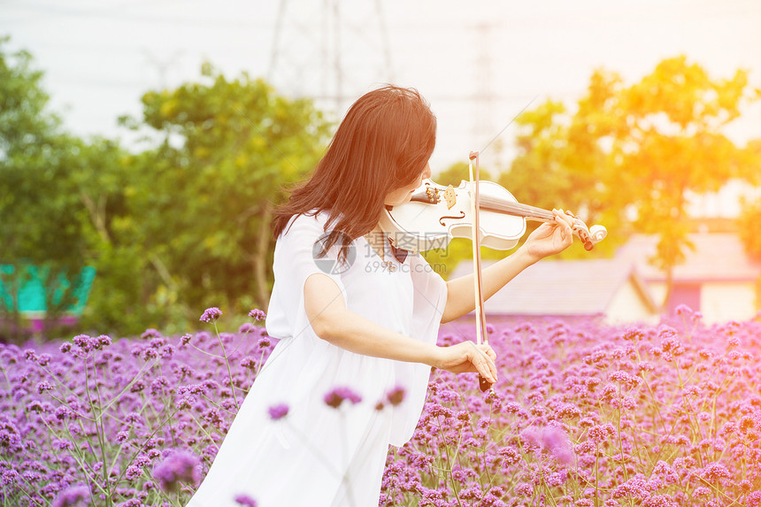 花海里演奏小提琴图片