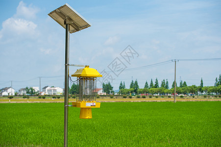 太阳能灯正视图太阳能农田防虫设备背景