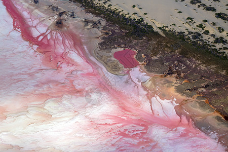 红色喜庆风景网红澳大利亚珀斯粉红湖美丽风光背景