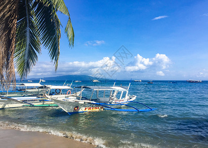 夏日海滩风光菲律宾海豚湾风光背景
