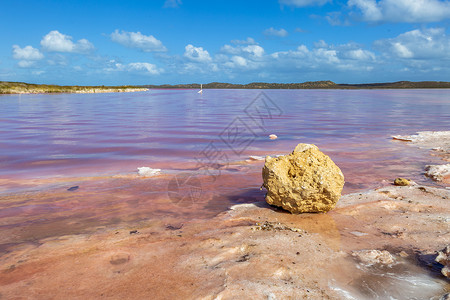 粉红 沙滩澳大利亚珀斯粉红湖美丽风光背景