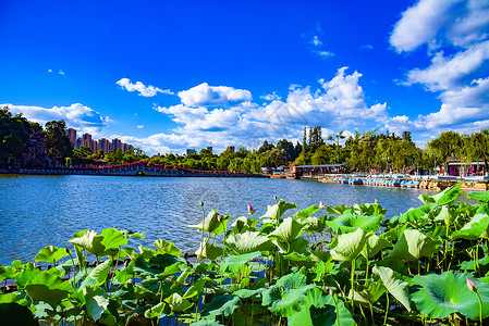 送大暑船昆明市大观公园背景