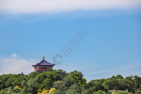 新疆红山新疆乌鲁木齐红山公园瞭望楼背景