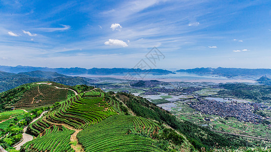 长龙山福州网红长龙茶山背景