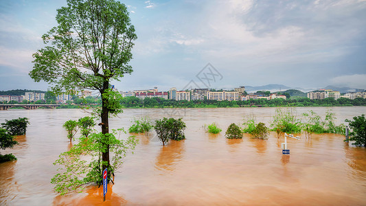 注意防范洪水洪涝自然灾害背景