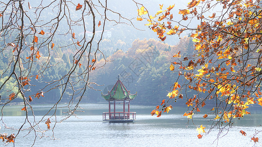 红色秋分毛笔字江西九江庐山芦林湖秋景背景