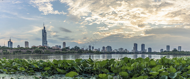 夏日玄武湖夕阳背景图片