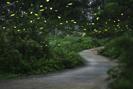 乡村水泥路乡间小路上的萤火虫背景