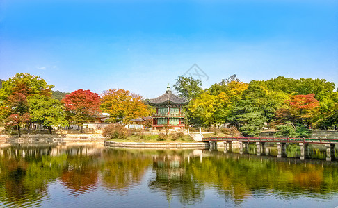 韩国风光首尔景福宫秋景背景