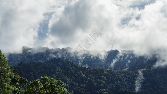 叻差他尼泰国素叻他尼森林国家公园自然景观背景