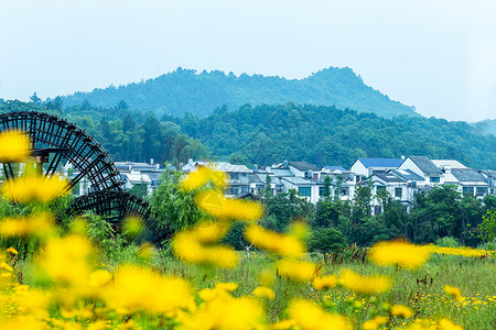 白色的房屋新农村背景