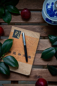 红树叶书本和钢笔背景