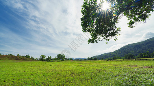 泰国高山草甸草场自然风光背景图片