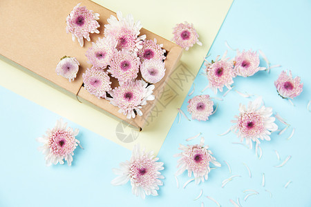 盒子里面的小雏菊背景图片