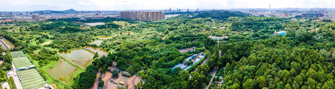 全景航拍广州长隆野生动物园背景图片