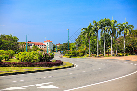 校园小路马来西亚沙巴大学校园道路背景